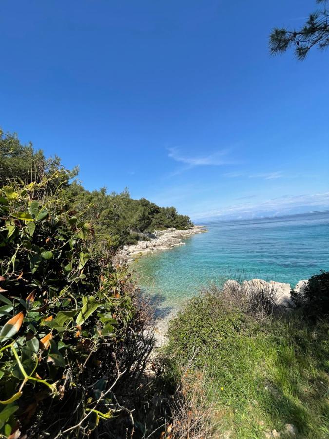 Apartment Marina Mali Lošinj Eksteriør billede